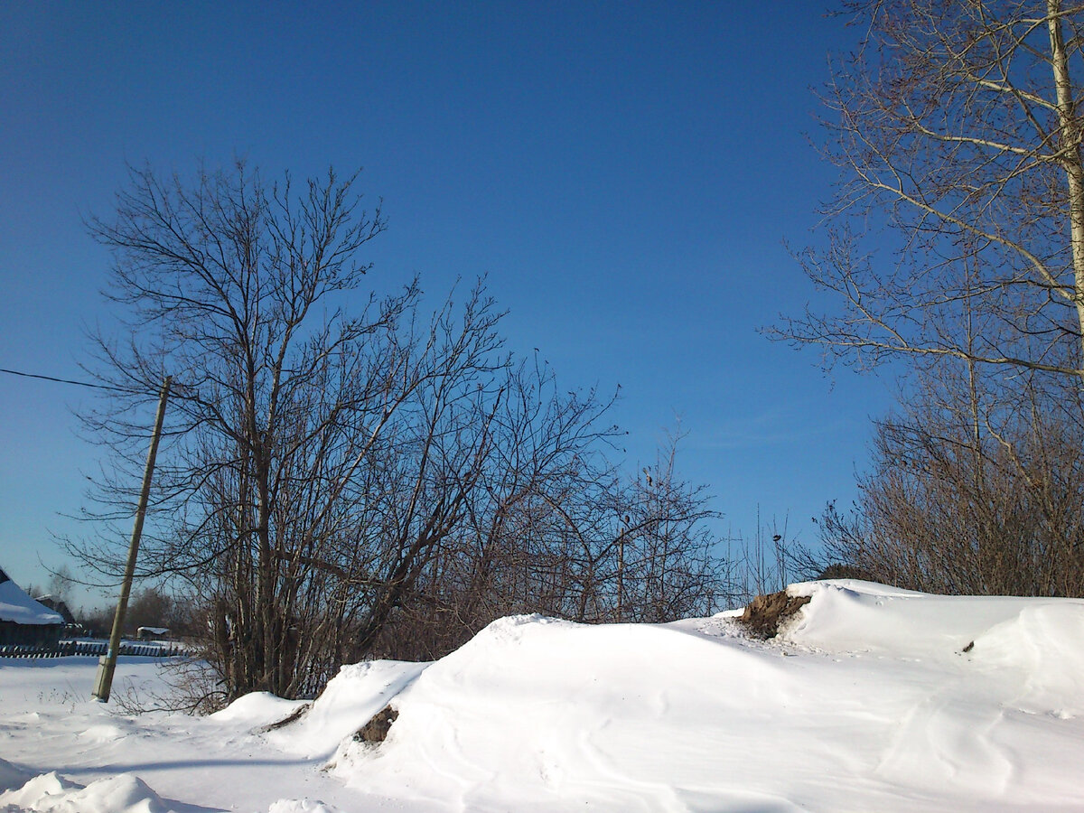 Alarm clock перестал работать. Alarm clock перестал работать. Atomic alarm. Alarm в программе. Гугл alarm clock.