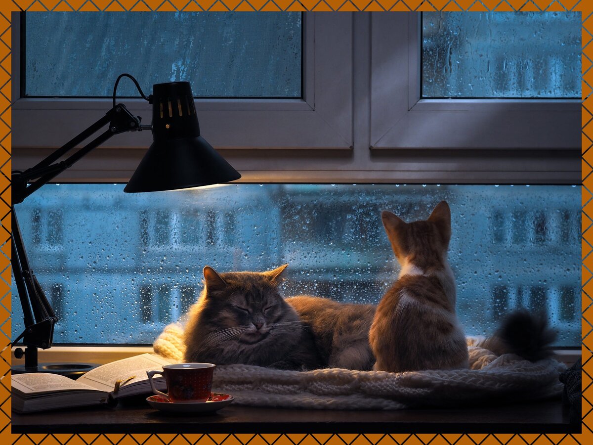 доброго уютного вечера. доброго зимнего вечера. картинки уютного зимнего вечера красивые с пожеланиями. теплого зимнего вечера. картинки уютного зимнего вечера красивые с пожеланиями.