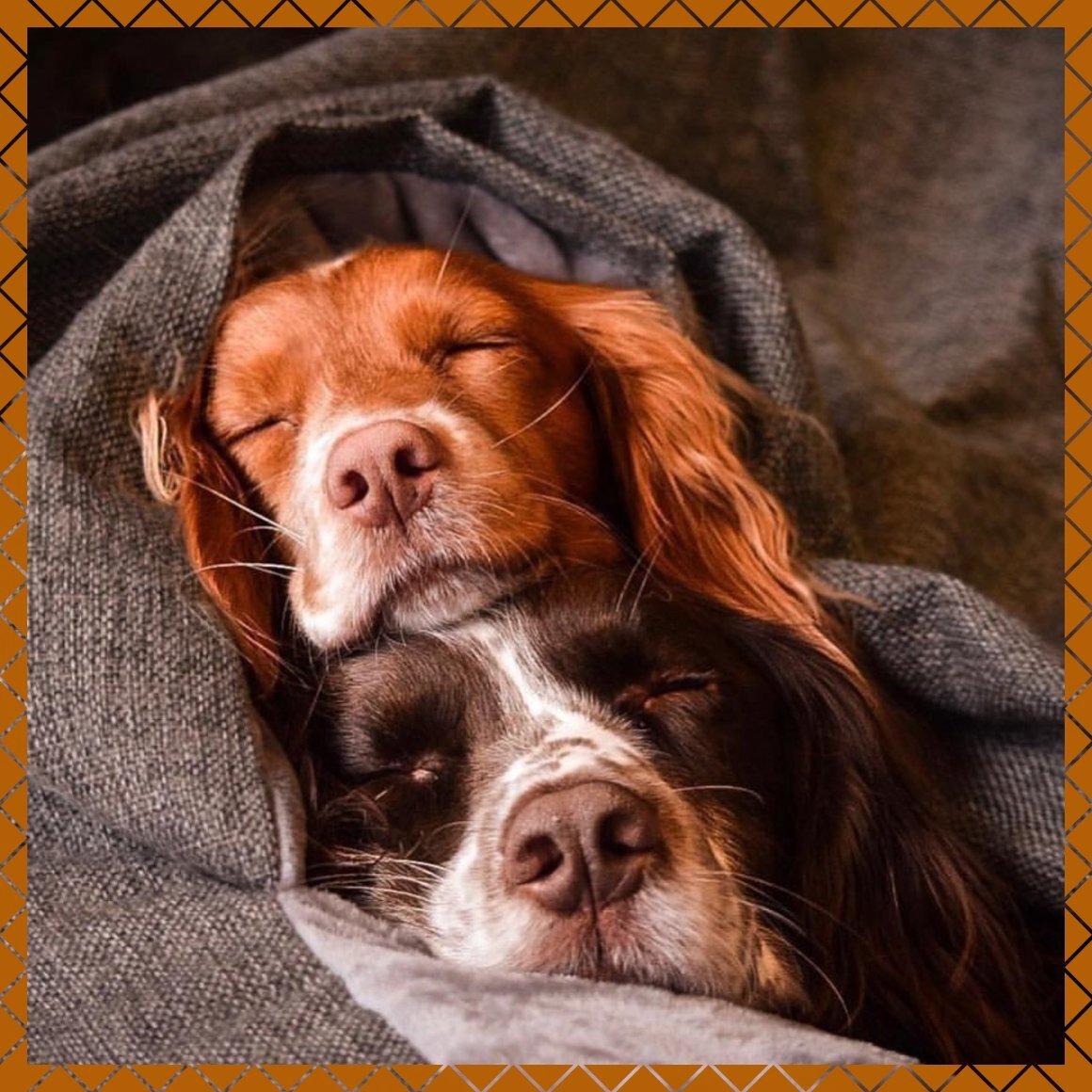 Девочка мечты в этот вечер. Волшебный поцелуй. Сказочные влюбленные. Девушка мечты текст. Девочка мечты в этот вечер не со мной.