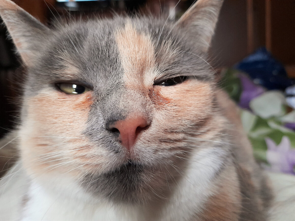 За фото Норочки благодарю Светлану ИВАНОВУ)