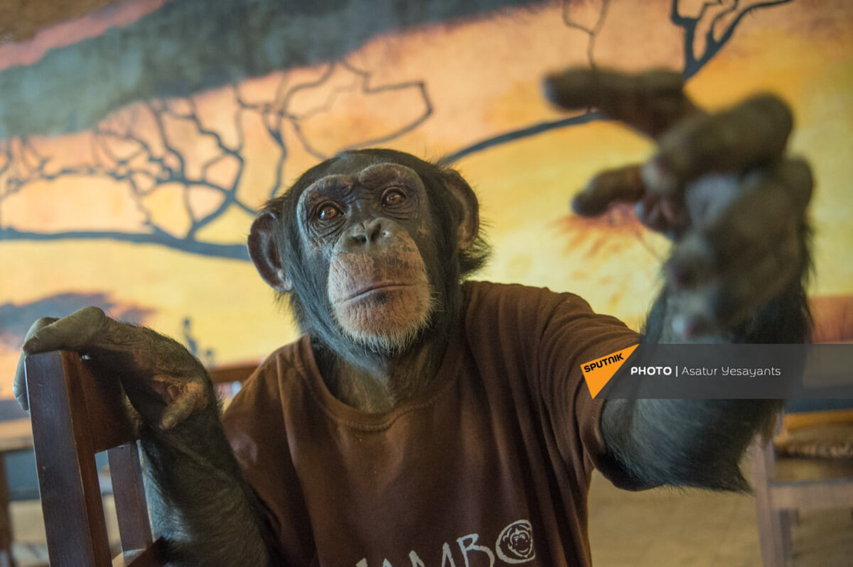 © Sputnik/Asatur Yesayants