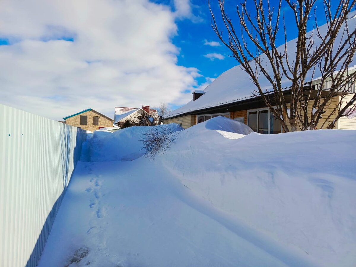 Вдалеке за сугробом - курочки...