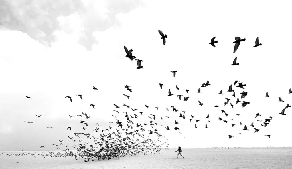    фото: Dimpy Bhalotia