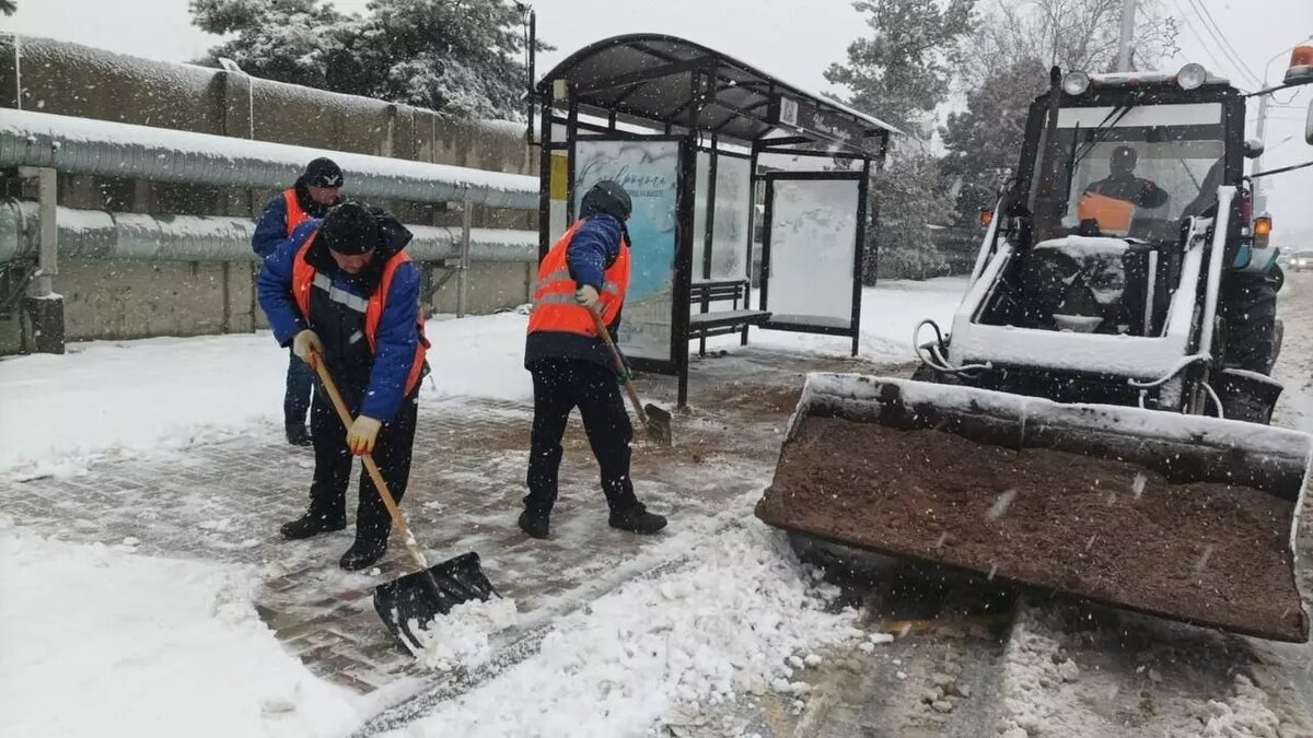 Последствия сильнейшего урагана начали устранять утром в Ставрополе |  newstracker.ru | Дзен