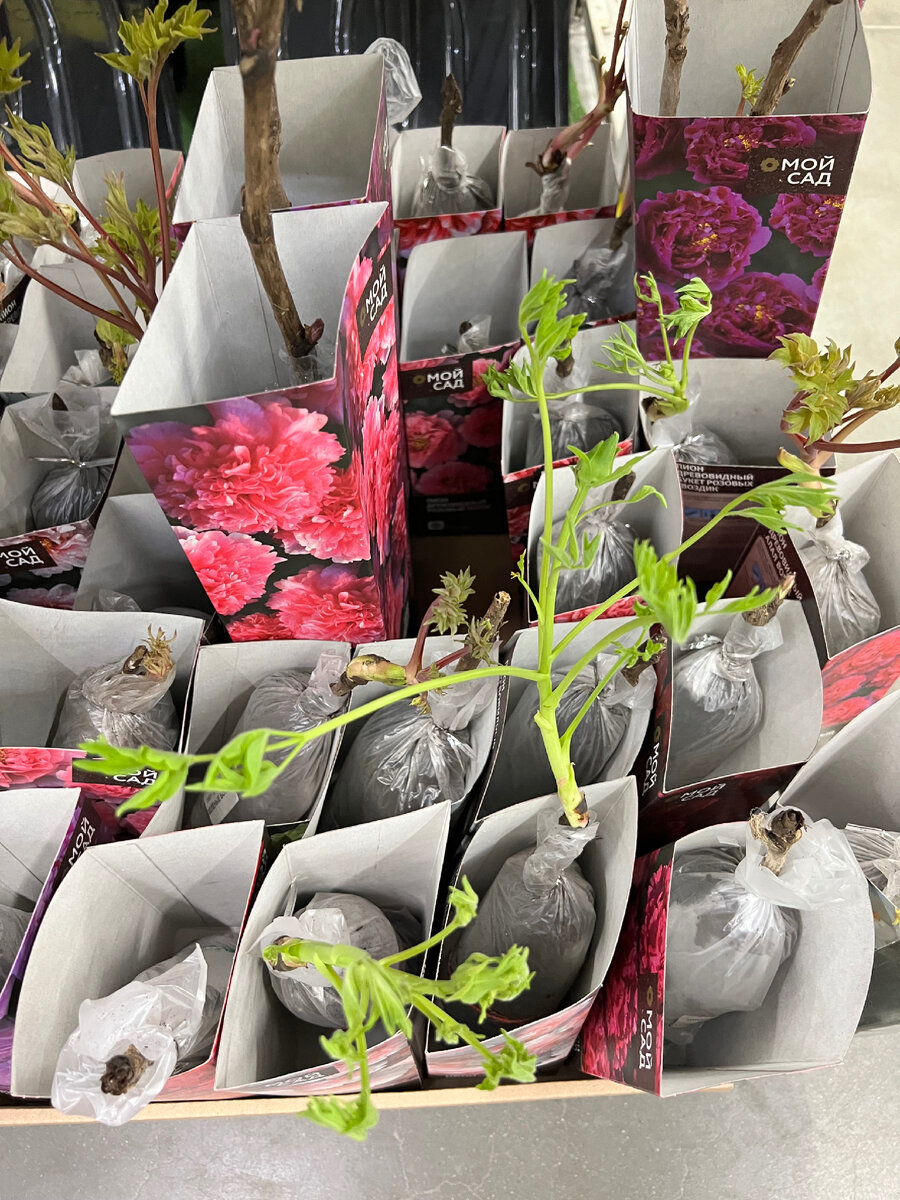 Так и просят-купи меня! 