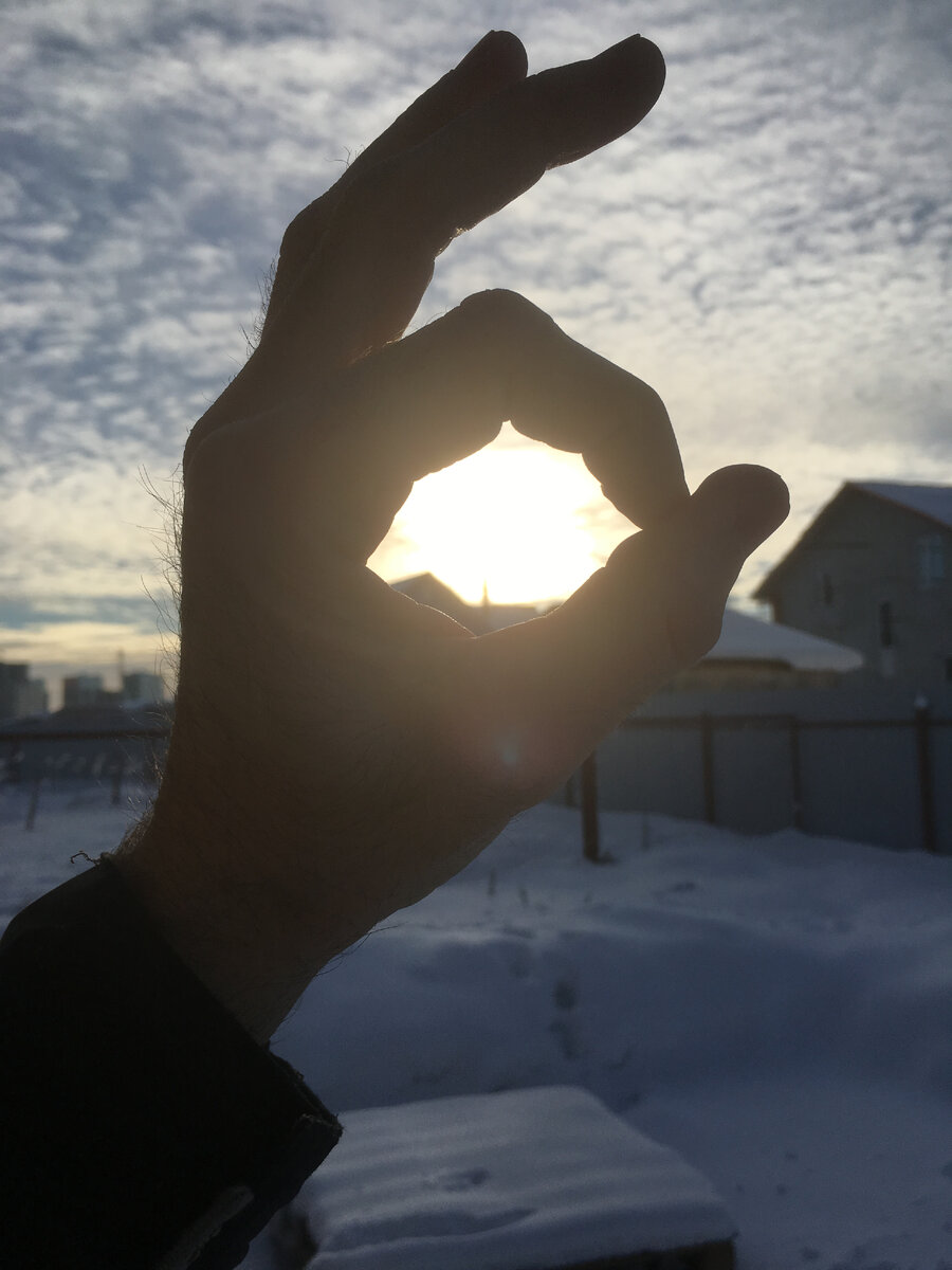 В определённом смысле, человек является своего рода биороботом. Подобно тому, как функционирование электрического прибора будет зависеть от напряжения электросети, а мотора автомобиля - от качества топлива, точно так же наши мыслительные и эмоциональные процессы зависят от химического состава нашей крови. На него, в свою очередь, влияет еда, питьё и солнечный свет. Это простое и очевидное понимание будет полезно тем, кто заботится о себе и поддержании себя в бодром и работоспособном состоянии вне зависимости от времени года.  Русская зима - сложный период как для нашего тела, так и для психики. Замечу, что человек целостная и гармоничная система. Поэтому и ухаживать за собой нужно комплексно. “В здоровом теле - здоровый дух” - это не байка, а очевидность. 
Если вы любите тепло, и холод на улице приносит лишь дискомфорт, то позаботьтесь заранее о двух моментах: тепле в своём доме и продуманном зимнем гардеробе. И то, и другое сейчас можно обеспечить себе достаточно легко, используя любой бюджет. Цель одна - чувствовать себя комфортно как в помещении, так и на свежем воздухе. 
Если снаружи всё устроено, то пора обустраивать то, что внутри. Продумайте своё меню. Чем разнообразнее будет ваш пищевой рацион - тем лучше будет ваше физическое состояние и, соответственно,  настроение. Борьба организма с холодом - состояние довольно энергозатратное. Поэтому зима - не лучшее время для диеты. Калорийная, равно как и богатая витаминами пища нам сейчас необъходима, как никогда. Это естественный и нормальный процесс. Не воюйте с природой - проиграете точно. 
Помимо еды и питья нам необходима двигательная активность. И если в силу объективных причин вы не можете, например, совершать пробежки, долгие прогулки или ездить на велосипеде - ищите альтернативу. Не любите, “не заходят” тренировки дома - запишитесь на фитнес или в “качалку”. Двигайтесь! Давайте своему телу нагрузки - это необходимая природная, естественная потребность нашего организма. Не давайте этой функции “засыпать”! 
Позаботились о “физике” - пора и о душЕ подумать. Настроение - штука переменчивая, а значит - управляемая. Готовьтесь к зимнему домашнему затворничеству заранее. Подумайте о тех книгах, которые давно хотели прочесть, но всё откладывали. Составьте список фильмов, на просмотр которых теперь будет время. А может быть у вас есть хобби, увлечение, которое порадует зимними вечерами? 
Зима - не время унывать, а время действовать. Это возможность проверить себя на прочность и выносливость как физическую, так и психологическую. Прооявляйте креативность и живость ума. Находите очарование во всех проявлениях жизни. Помните, что всё, чем мы владеем на самом деле - это наше тело, наше сознание и наша душа. Будьте себе добрым и заботливым хозяином. 
