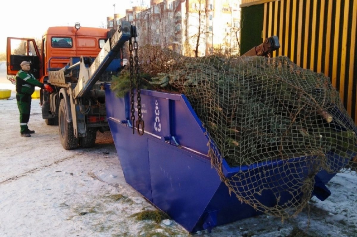    Тюменцы отправили на переработку более двух тонн новогодних деревьев