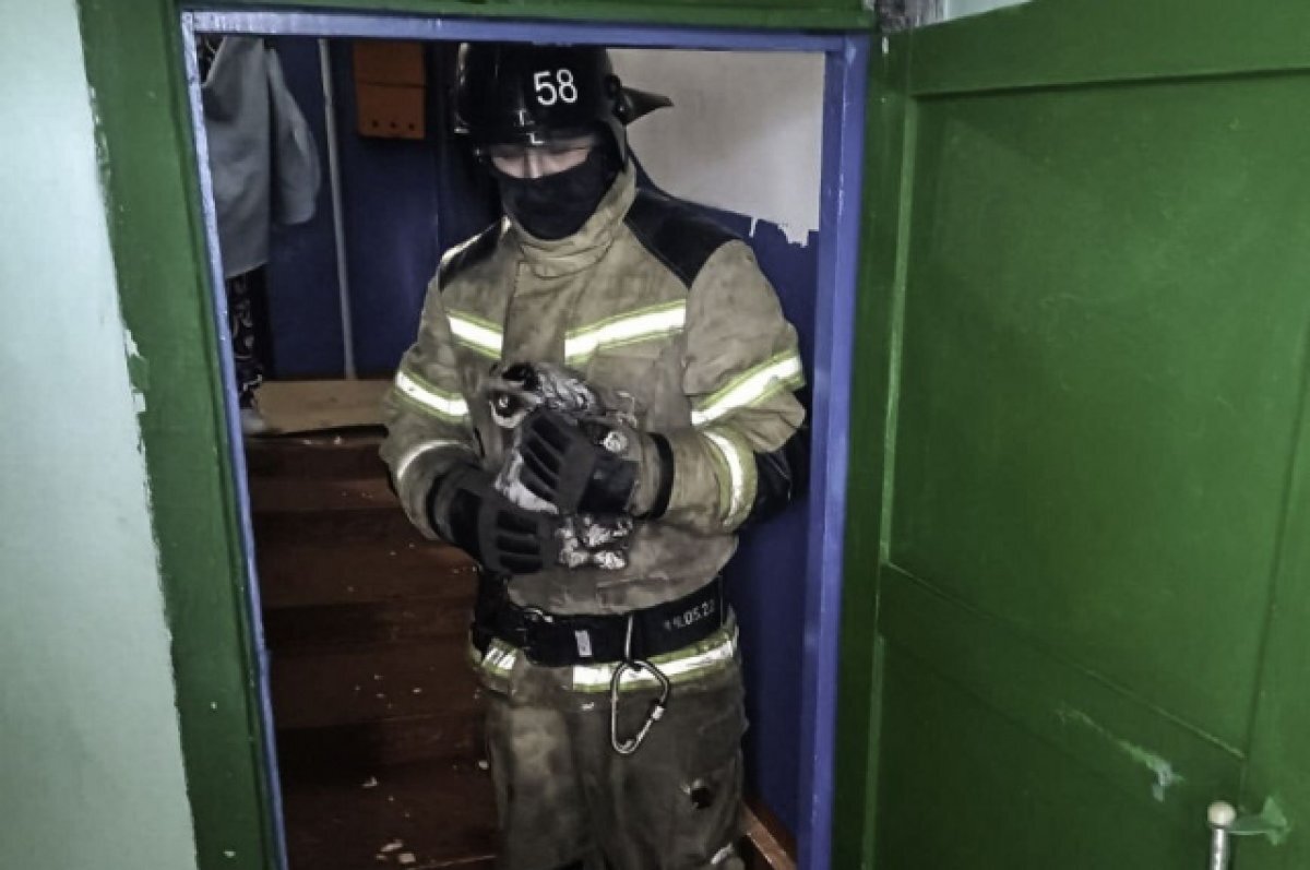    В Омской области пожарные спасли из горящего дома котёнка