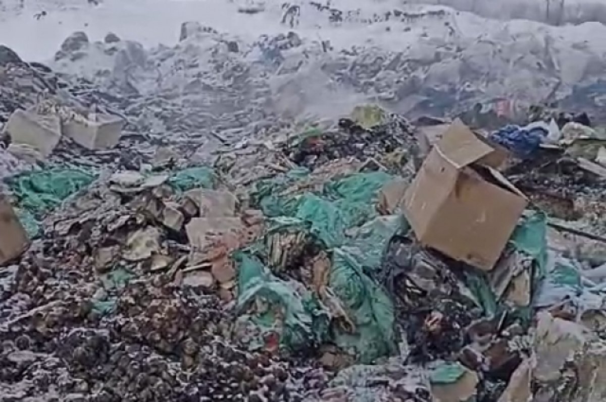    В омском Россельхознадзоре проверят яйца, которые валялись на свалке