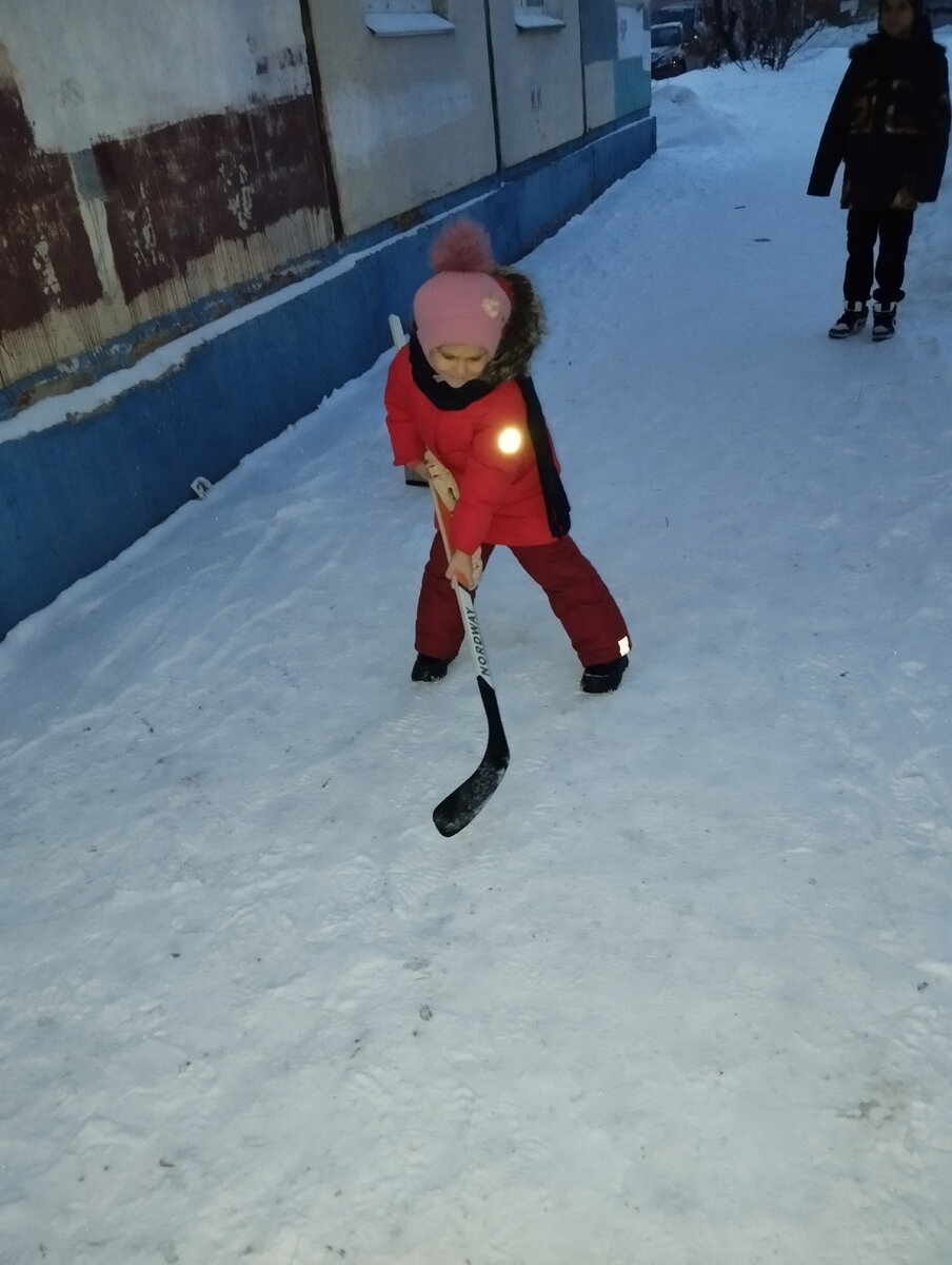 Брат и в хоккей играть научит