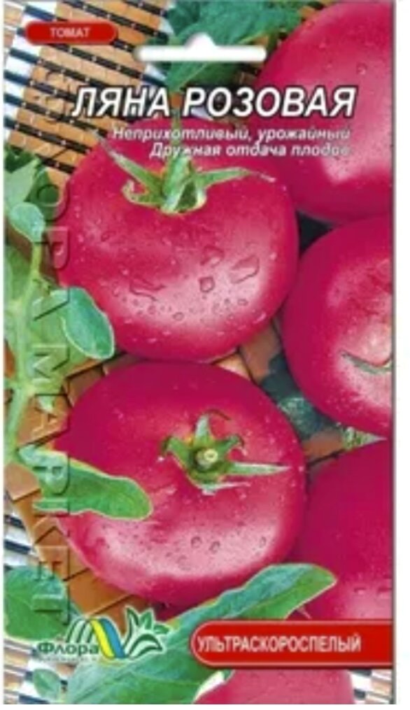 Сорт томата розовая ляна отзывы