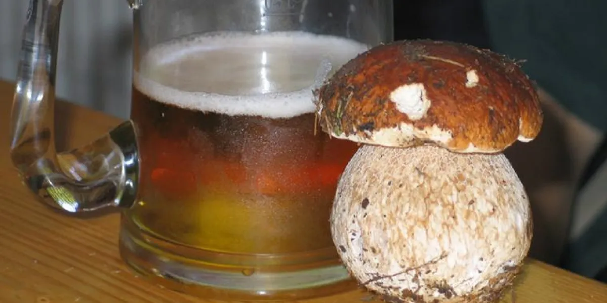 Актуальность сегодняшнего вопроса в одной картинке