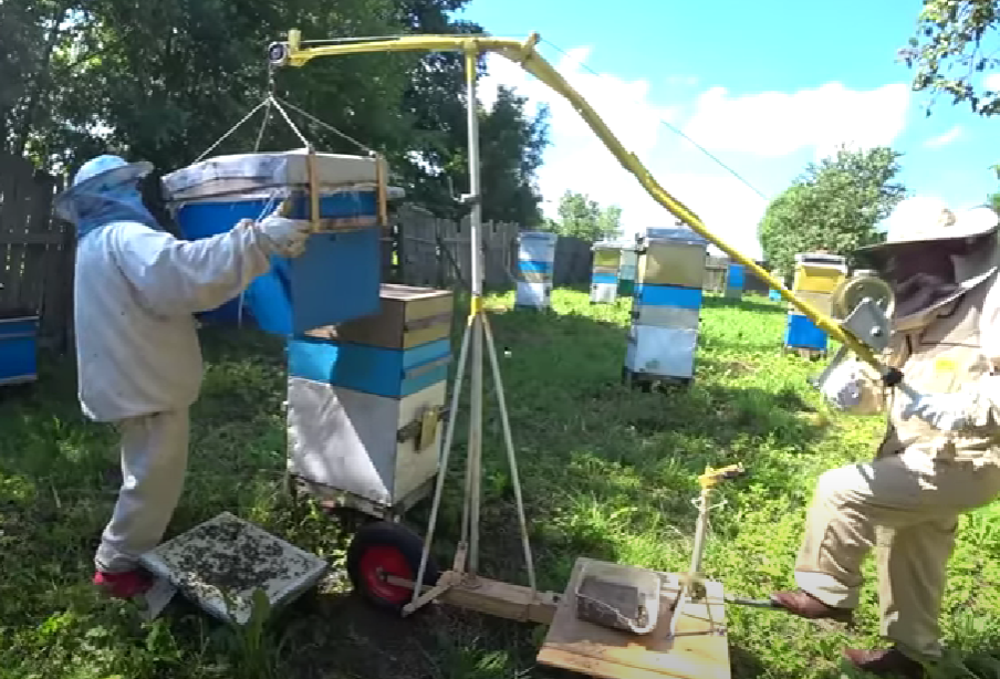 Для работ на пасеке требуется подъёмный кран и помощник.