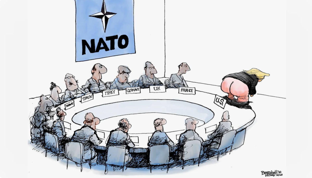 Нато тест. НАТО. НАТО рисунок. Расширение НАТО карикатура. Карикатуры на блок НАТО.