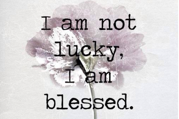 Appearance description vocabulary. Описание внешности на английском языке план. Разница what is he like look like. Герундия игра. What is he like и what does he look like разница.