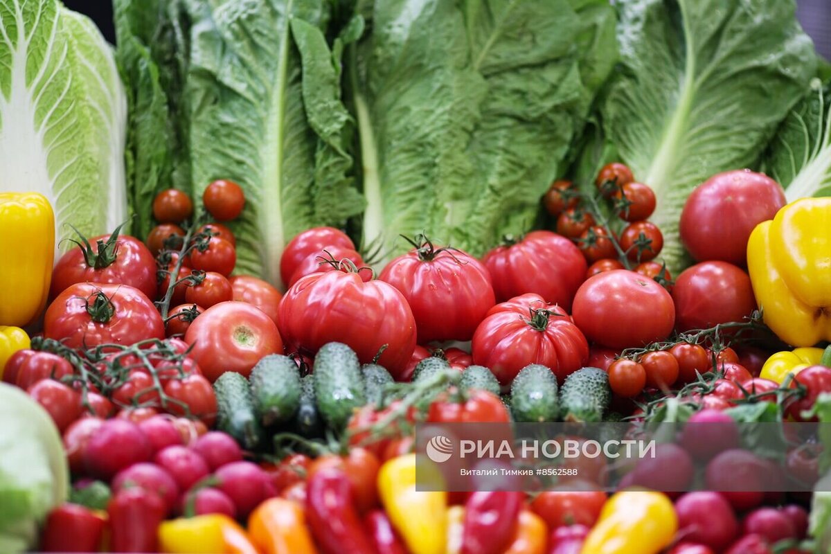 самые крупные компании мира. доля компаний в добыче нефти. фирмы по сравнению с другими. преимущества и недостатки ооо. преимущества компании.