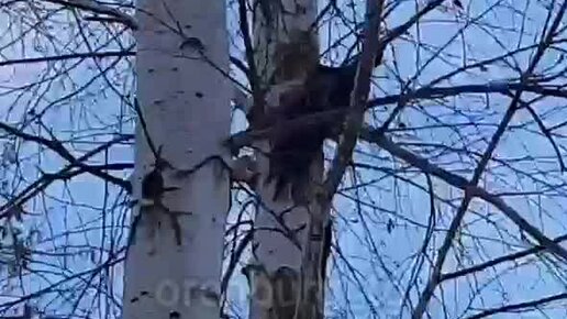 23 03 2003. 23 03 2003. 23 03 2003. 23 03 2003. 23 03 2003.