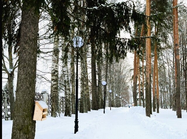     В старейшем парке Ивановской области обустроят зону отдыха