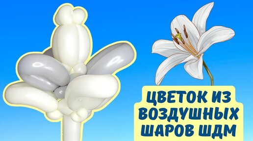 Цветы из воздушных шаров