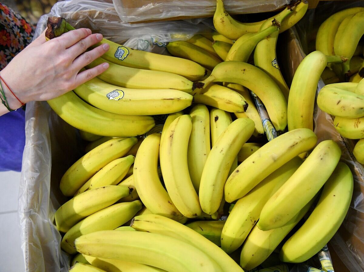    Бананы© РИА Новости / Евгений Биятов