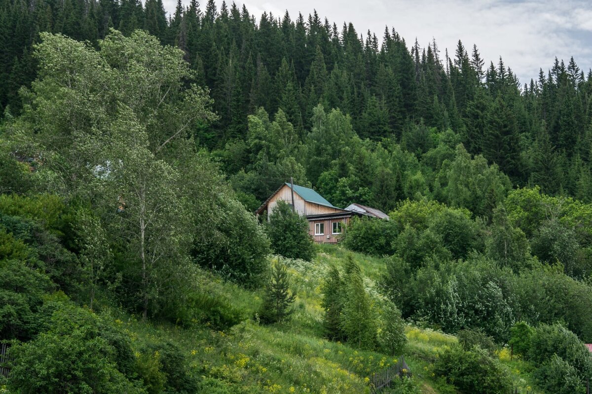 Фото сделано другом автора