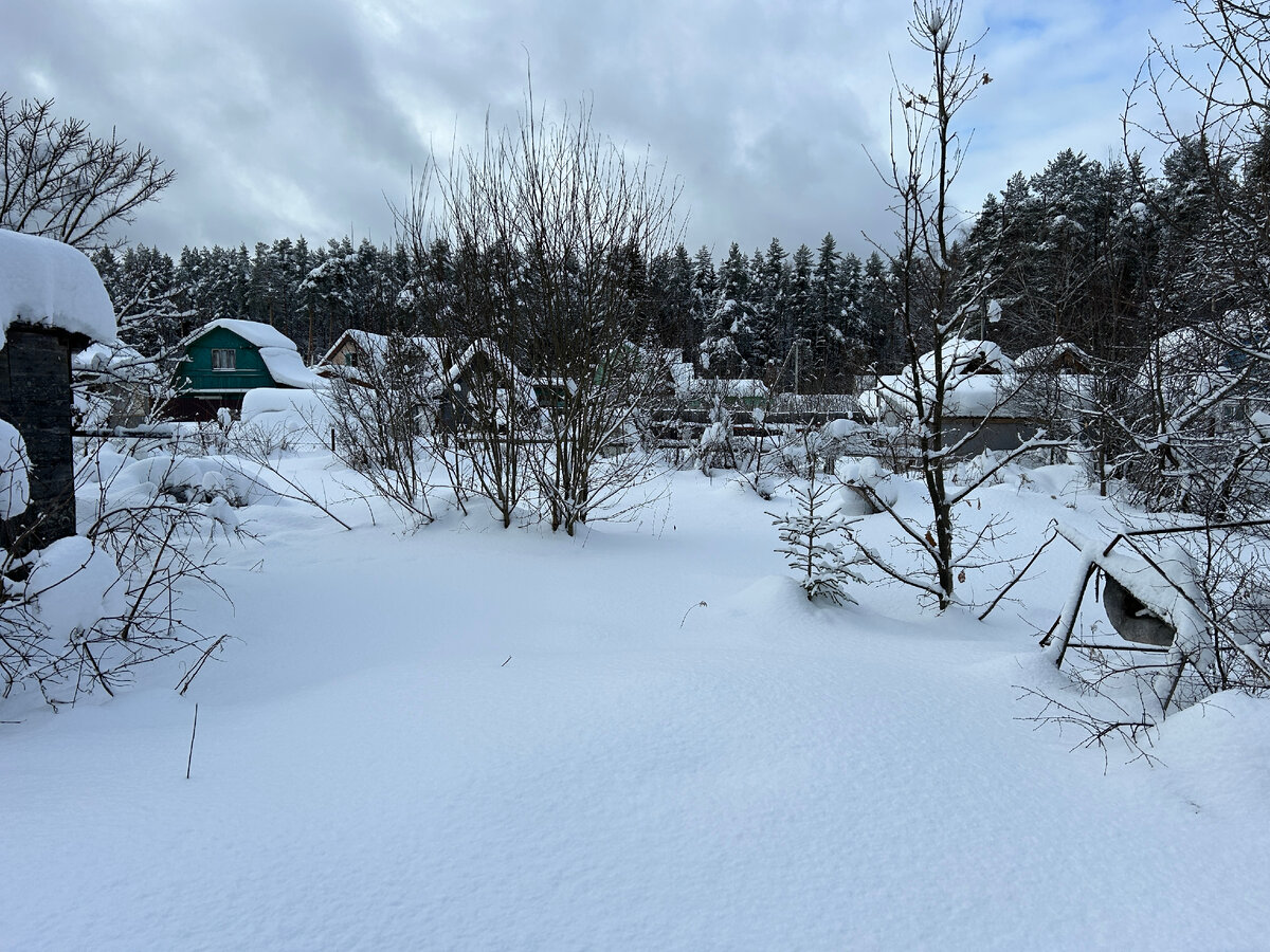 4 сотки периметр. участок 5 соток. 4 сотки периметр. участок 2 сотки размеры. участок 20 соток метраж.