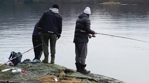 Улов рыбы щука. Рыба для копья улов геншин импакт. Ахтуба улов. Копьё улов гайд. Оружие улов.