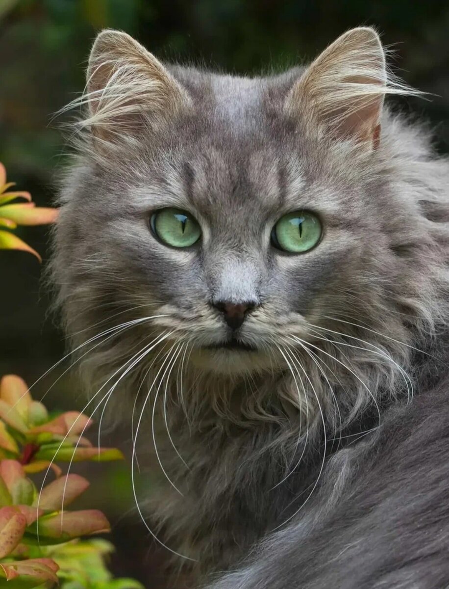 Фото из свободного доступа в интернете