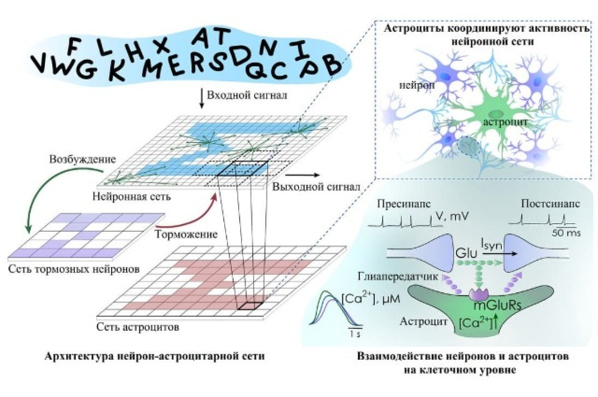    Нижегородские ученые увеличили мощность искусственного интеллекта