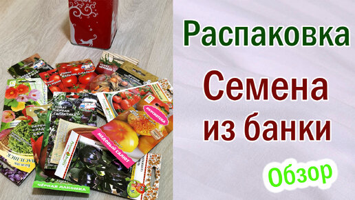 Семена из банки. Первые всходы семян. Распаковка. Обзор. Томаты. Перцы. Баклажаны. Базилик. Абутилон.