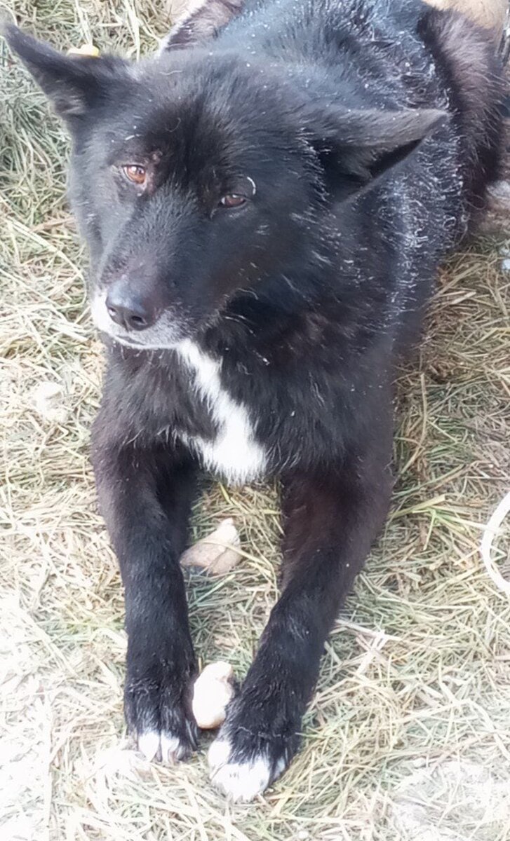 шутки про мытищи. настоящая жизнь начинается там где заканчивается зона комфорта. выход из зоны комфорта цитаты. где она началась и где закончилась. зона комфорта высказывания.