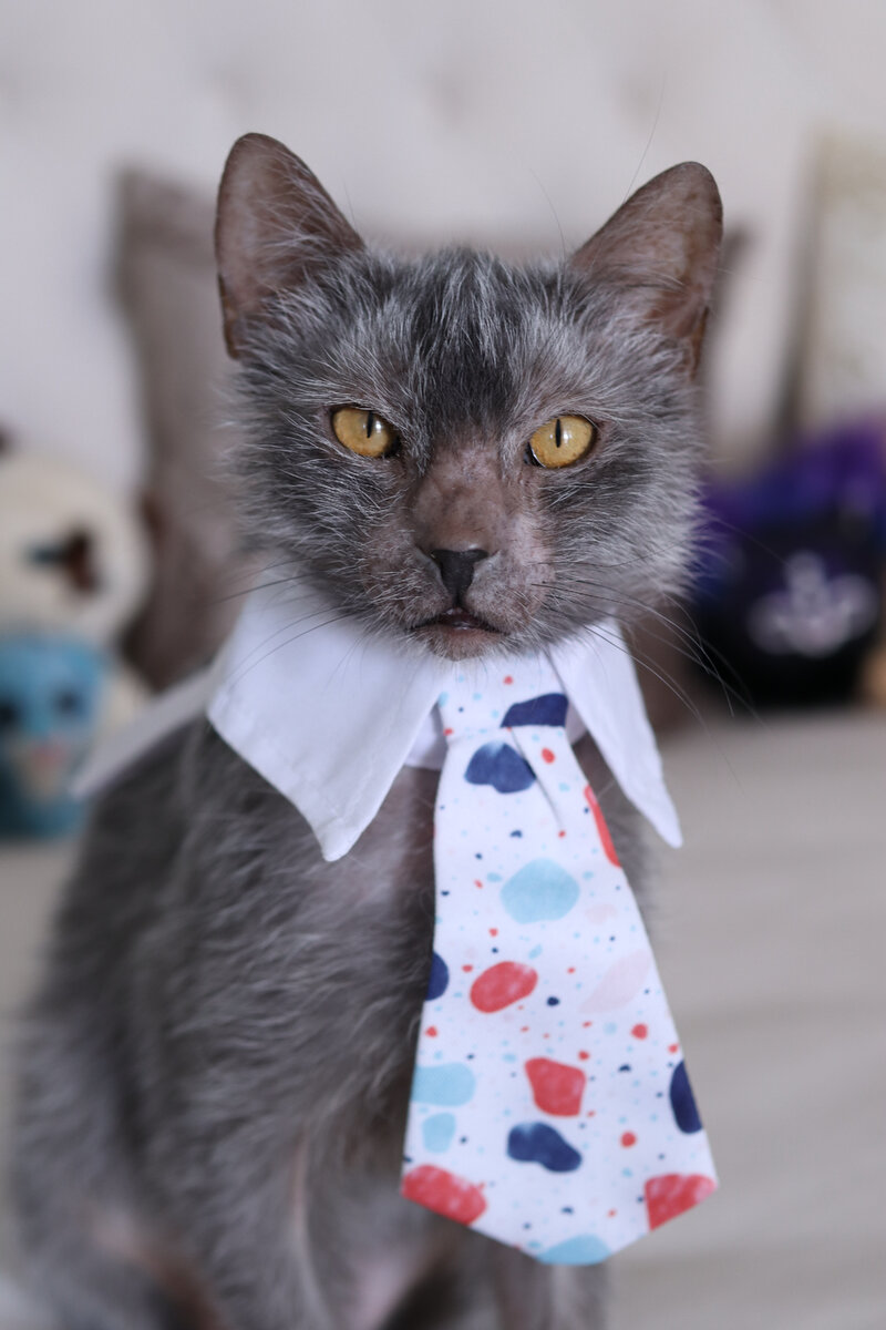 Наш именинник!  😊