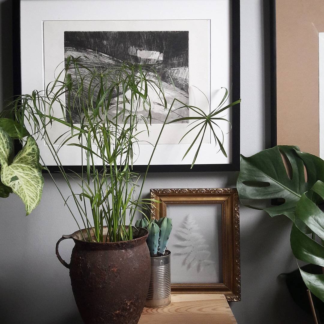 необычные кашпо. интересные горшки для цветов. петунья вертикальная грядка. идеи кашпо. необычные кашпо.