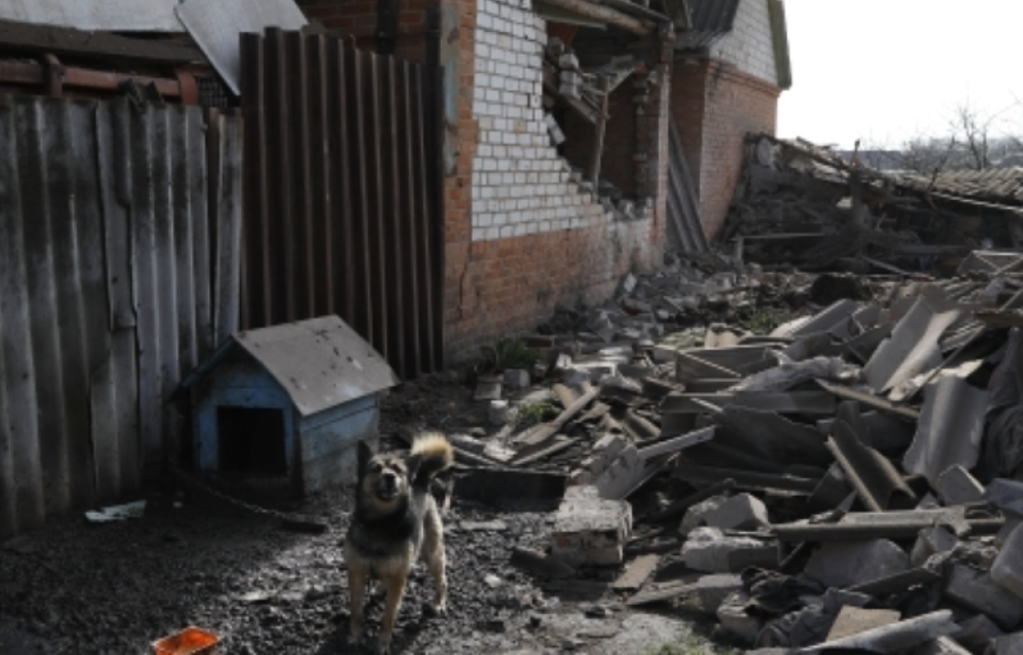    Кабмин расширил меры поддержки жителей регионов близ зоны СВО