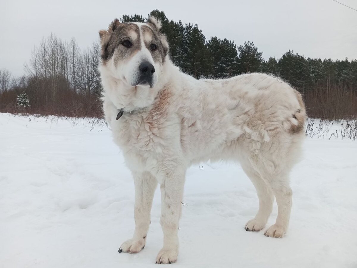 Мы запомним тебя такой.
