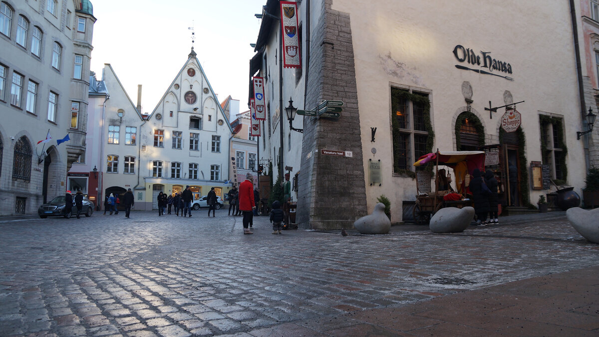 Petersburg казанский собор. Санкт петербург зима стрелка васильевского острова. Петергоф дворцово-парковый ансамбль зимой. Что посетить в санкт петербурге в январе. Большой императорский дворец в петергофе зимой.
