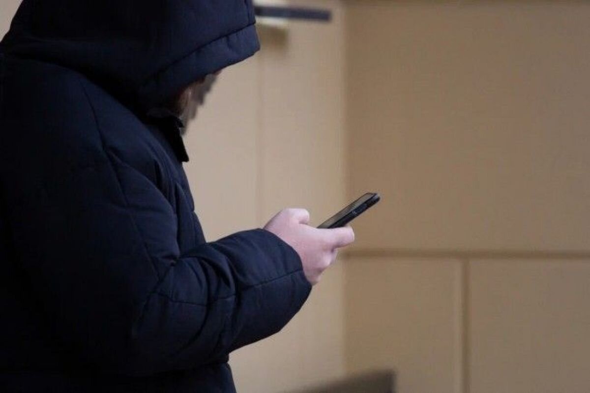 Воронежцев предупредили о новом способе мошенничества в Telegram |  «Воронежские новости» | Дзен