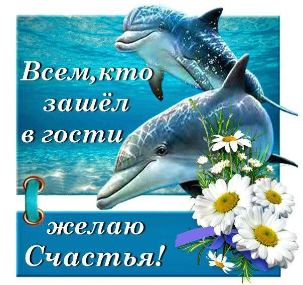 Фото с Яндекса