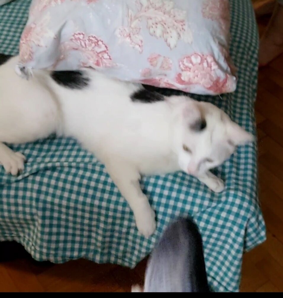 -2