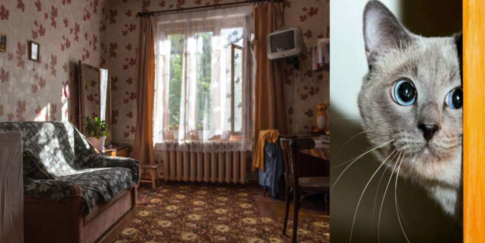 Наконец-то смогла избавиться от запаха старости и затхлости в хрущевке! Помогла советская «тайна» от бабушки