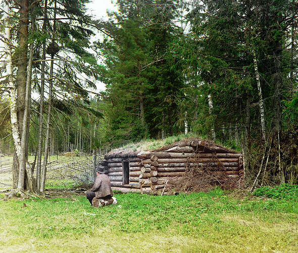 Курная избушка в лесу для дровосеков. 1912. Фото: С. М. Прокудин-Горский