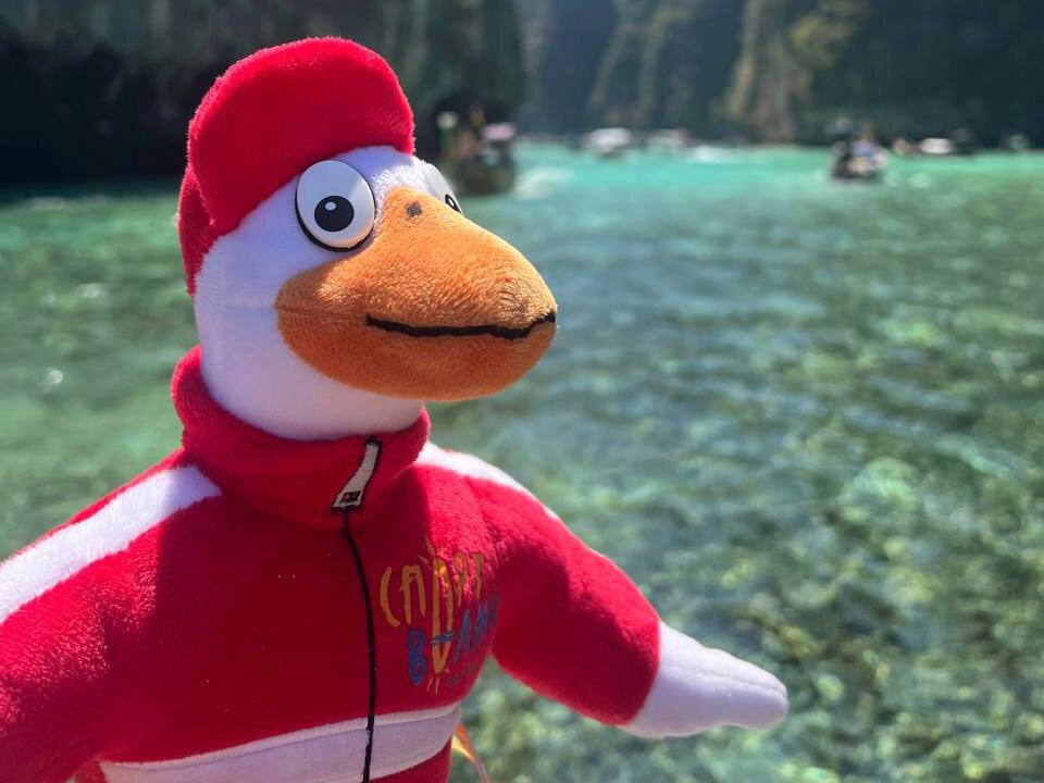 Это я сделал селфи для вас