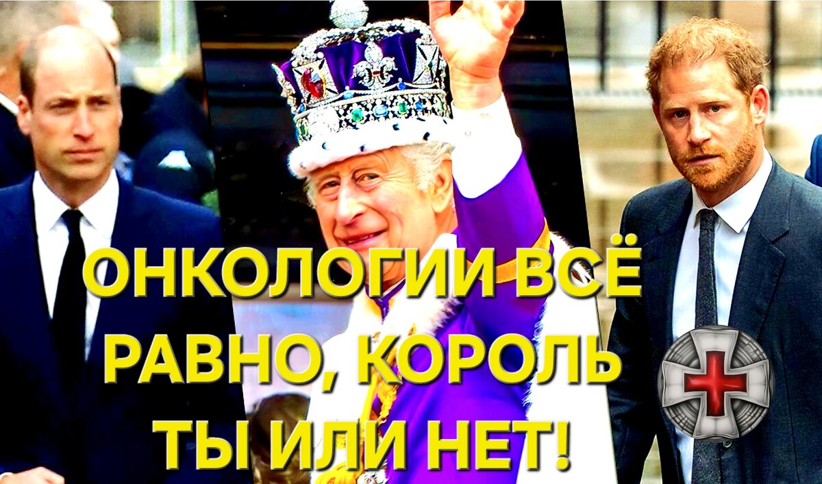 Фото из открытых источников.