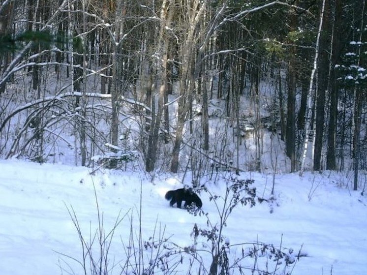 сатка челябинская область горы. парк таганай златоуст. национальный парк таганай, южный урал. уральские горы притесы. югу южного на урала.