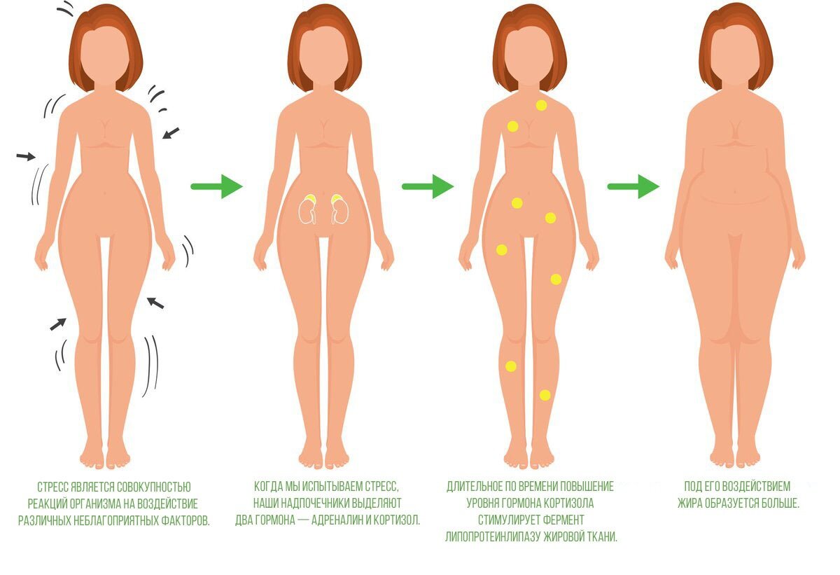 На что влияет кортизол у женщин