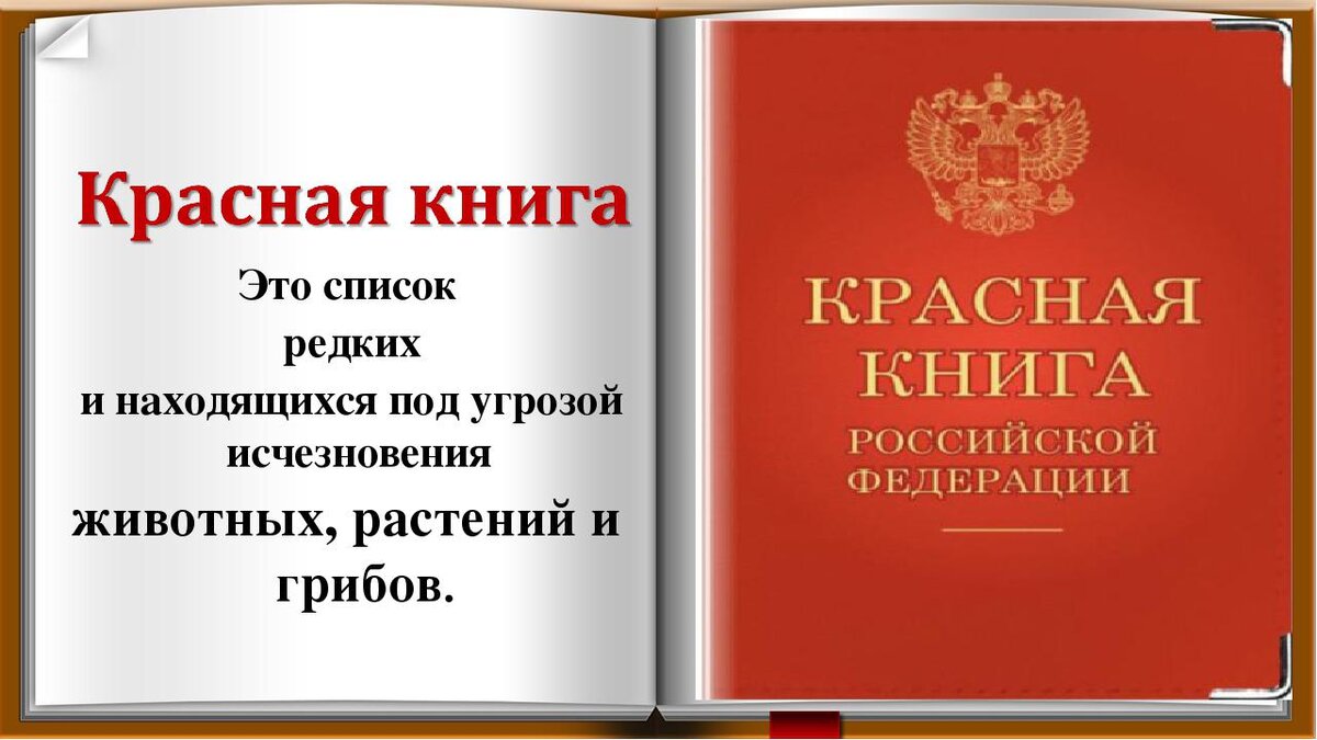 Краткая характеристика красной книги