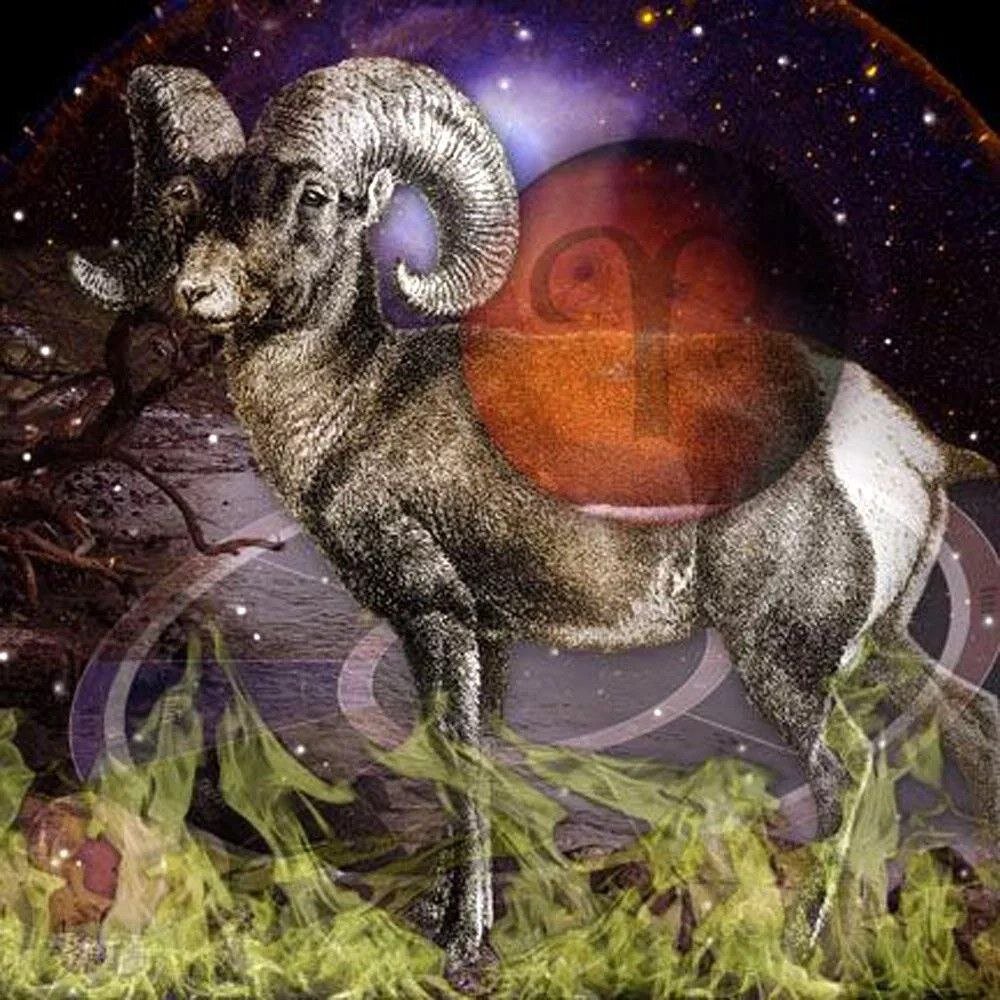 Солнце в овне. На марсе. Телец. Телец марс в овне. Овен.