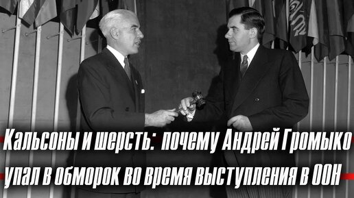 Кальсоны и шерсть: почему Андрей Громыко упал в обморок во время выступления в ООН