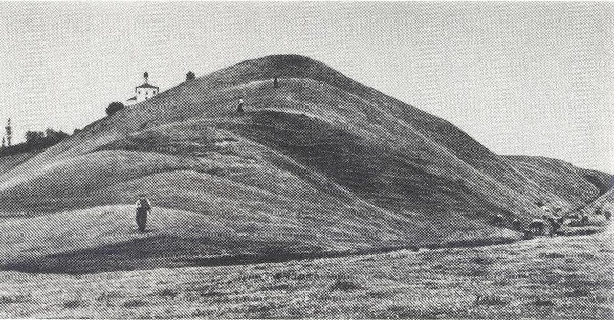 Старый Изборск. Городище. Вид с севера.