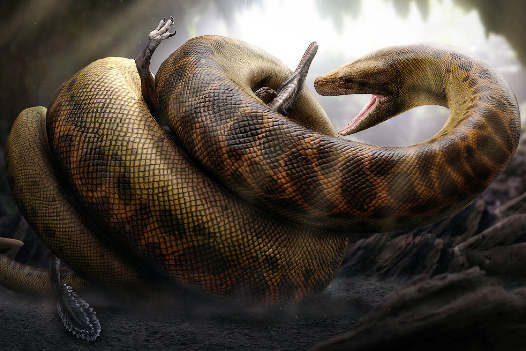 Секвойя и сосна. Модуль меньше отрицательного числа. Самое большое среди отрицательных. Самое большое среди отрицательных. Самое большое среди отрицательных целых чисел.